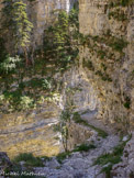 <center>Gorges de Saint-Pierre.</center>