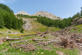 <center>Lacs de Lignin</center>Dégats d'une avalanche. La Frema ( la Femme) et la Dent de Lièvre.