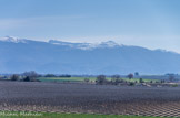 <center>Plateau de Valensole</center>