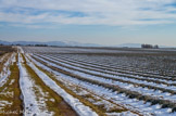 <center>Plateau de Valensole</center>