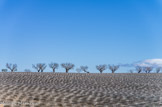 <center>Plateau de Valensole.</center>