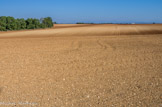 <center>Plateau de Valensole</center>