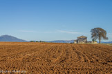 <center>Plateau de Valensole</center>