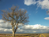 <center>Plateau de Valensole.</center>