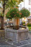 Saint-Etienne-de-Tinée <br> L'érection de cette fontaine est due à Raphaël Bischoffsheim,  banquier, homme politique et mécène français, fondateur de l’Observatoire de Nice.