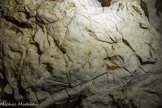 <center>Grotte de Thaïs.</center> Fossiles de rudistes (les petits cercles).