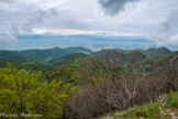 <center>Col de Tourniol. </center>