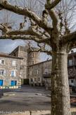 <center>Alba-la-Romaine</center>Place du château. Jusqu’au XIIIe siècle le territoire d’Aps est la propriété de l’évêque. Au milieu du XIIIe siècle c’est la famille des Deux Chiens qui devient propriétaire. 
En 1281 la famille des Deux Chiens signe dans la chapelle St-André la charte de franchise qui limite les droits seigneuriaux. C’est une étape importante pour la vie du bourg d’Aps, qui voit ainsi s’établir les premières règlementations du système féodal. Très vite, à la suite du mariage de Blonde de Deux-Chiens avec Giraud Adhémar, seigneur de Grignan, la seigneurie tombe entre les mains des Adhémar en 1204 et y restera jusqu’à la fin du Moyen-Age.