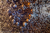 <center>Les Catacombes de Paris. </center>Un coeur.