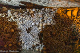 <center>Les Catacombes de Paris. </center>
