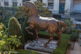 <center></center>