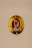 <center></center>Bague ornée d’un camée figurant Ptolémée IV sous les traits du dieu Harpocrate/Horus enfant
Époque ptolémaïque, vers 230 av. J.C.
Or, sardonyx
Paris, Bibliothèque nationale de France, département des Monnaies.
Médailles et Antiques, camée.