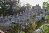 <center>Le domaine de Saint-Cloud</center>Le bassin recueillant les eaux de la cascade haute est encadré par les statues ailées des vents, Auster, Borée, Eurus et Zéphyr, qui soufflent aux quatre points cardinaux.
