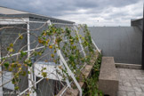 <center>Immeuble Le Corbusier</center>Ici, il aménage au sommet de l’immeuble, entre l’arrondi des deux voûtes, un toit-jardin qui offre une vue imprenable sur Boulogne et Paris.