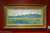 <center>Musée Marmottan Monet.</center> CHAMP D'IRIS JAUNES À GIVERNY
1887
Huile sur toile