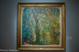 <center>Musée Marmottan Monet.</center> LE SAULE PLEUREUR
1918-1919
Huile sur toile