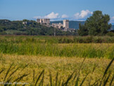 <center>L'Abbaye de Montmajour</center>Aux portes d'Arles, sur un ilot rocheux émergeant des marais, le mont Majour, se fixe au Xe siècle une communauté de moines bénédictins. Ils édifient au milieu du XIe siècle la chapelle Saint-Pierre, puis une église abbatiale. Montmajour, du latin major, le plus grand, tire son nom de ce gros rocher, émergeant du marais qui s'est asséché naturellement et progressivement.