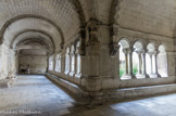 <center>Le cloitre.</center>Le cloître de Montmajour s'apparente par son architecture aux abbayes cisterciennes. Quatre galeries percées d'arcades supportées par des colonnes et des chapiteaux s'ouvrent sur le jardin central où se trouve une citerne. Chacune des galeries est divisée en trois travées par des doubleaux, qui sous-tendent une voûte de plein cintre. Les consoles sculptées côté mur et les chapiteaux placés côté jardin évoquent tout à la fois des sujets profanes, sacrés, réels et fantastiques. Les travées sont séparées par de fortes piles rectangulaires décorées, sauf dans la galerie méridionale, par de remarquables panneaux de cannelures.