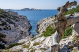 <center><center>Calanque de la Mounine.  </center></center>