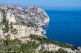 <center>Baou Trouca</center>