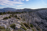 <center><center>Plateau de l'homme mort, avec les lapiaz.</center></center>Au fond, le mont Puget et la Grande Candelle.