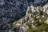 <center>Vallon du Malvallon médian.</center>