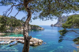 <center>Calanque de Sormiou.</center>Le port, la pointe de la Buse, le cap Redon.