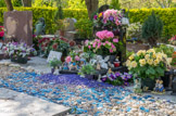 <center>Cimetière des chiens. </center> Tombe d'un hamster.