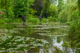 <center>Claude Monet à Giverny. </center>L'œuvre de Monet témoigne d'une passion pour les jeux de lumière et les reflets des nuages sur l’eau. En 1893, il fait l’acquisition d’un terrain situé au fond du Clos Normand qui deviendra le « Jardin d’eau » passé à la postérité, notamment avec Les Nymphéas, ensemble de toiles monumentales débutées en 1897. Le Jardin d'eau témoigne de la fascination de Monet pour le Japon. Il y fait construire un pont japonais peint en vert et y adjoint des végétaux orientaux