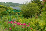 <center>Claude Monet à Giverny. </center>