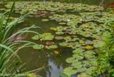 <center>Claude Monet à Giverny. </center>