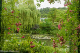 <center>Claude Monet à Giverny. </center> Il achète en 1883, de l'autre côté du chemin du Roy, un terrain où, après de nombreuses difficultés administratives, il réussit à creuser un étang puis construit le pont japonais en 1895 pour que la lumière passe sous le pont et éclaire l'ombre.