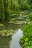 <center>Claude Monet à Giverny. </center>