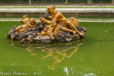 <center>Les jardins de Versailles.</center> Les quatre bassins des saisons. Les Fontaines ont été dessinées par Le Brun. Au nord, le bassin de Flore ou du Printemps (1674) et le bassin de Cérès ou de l’Été (1673) ; au sud, le bassin de Bacchus ou de l’Automne (1674) et le bassin de Saturne ou de l’Hiver (1677). Ici, le bassin de Bacchus ou de l’Automne (1674)