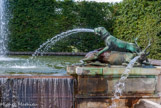 <center>Les jardins de Versailles.</center> Les Cabinets des Animaux. Un limier terrassant un cerf (par Jacques Houzeau). Dans tous les groupes, le jet des animaux vainqueurs est dirigé vers le bassin supérieur tandis que celui des animaux vaincus retombe dans le bassin inférieur.