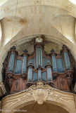 <center> La cathédrale Saint-Louis.</center> La tribune d'orgue est portée par un grand arc en anse de panier retourné, inspiré de la tribune des musiciens de la grande salle du château de Maisons-Laffitte par François Mansart. L'orgue est l'oeuvre des Clicquot. Il a été restauré au XIX° siècle par Cavaillé-Coll, puis en 1987 par Haerpfer. Le buffet, de bois sculpté, date quant à lui de 1761