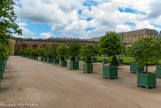 <center>Les jardins de Versailles.</center> L’Orangerie. En contrebas du Château, l’Orangerie, par son ampleur, par sa hauteur, par la pureté de ses lignes, est l’un des endroits où Jules Hardouin-Mansart a le mieux affirmé son talent de grand architecte.