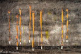 <center>Habiter le temps : natures mortes, stases et naufrages</center>Les œuvres de la série « Naufrages : les Mouches devant les yeux » prolongent d’une certaine manière cette conception du temps comme superposition de vitesses différentes. Elles s’inscrivent dans l’ensemble plus vaste des « Naufrages ». Barbier explique : « L’idée pour chaque étape de cet ensemble est d’essayer de traduire non pas une image du naufrage, mais une sensation de naufrage ».
Il s’intéresse ici à la fatigue du regard. « On appelle ça aussi avoir des mouches devant les yeux, parce que tout d’un coup, quand on a le regard fatigué, on a des petits papillons devant les yeux. La médecine a appelé ça le syndrome des mouches devant les yeux ». <br>
Naufrages - Des Mouches devant les Yeux #3, 2025
Acrylique, gouache et Posca sur polyester 152 x 375 cm.