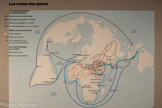 <center>Les routes des épices.</center>Le poivrier (Piper nigrum L.) est originaire de la côte de Malabar, à l’ouest de l’Inde. Son usage serait connu dans la Grèce antique. À partir du XIe siècle, le commerce de cette épice entre l’Inde et le Proche-Orient est aux mains des marchands arabes; les négociants italiens en ont fait un monopole qui favorise le prix exorbitant du poivre. En 1408, Vasco de Gama atteint l’Inde en contournant l'Afrique donnant ainsi au Portugal et à la Compagnie néerlandaise des Indes orientales le contrôle d'une grande partie du commerce du poivre aux XVIe et XVIIe siècles. À partir du XVIe siècle, le poivre est également cultivé en Asie du Sud-Est puis à Madagascar et au Brésil. Dès lors, le poivre devient plus accessible.