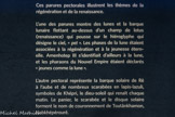 Ces parures pectorales illustrent les thèmes de ta régénération et de la renaissance.
L’une des parures montre des lunes et la barque lunaire flottant au-dessus d'un champ de lotus (renaissance) qui pousse sur le hiéroglyphe qui désigne le ciel, « pet ». Les phases de la lune étaient associées à la régénération et à la jeunesse éternelle. Amenhotep III s'identifiait d'ailleurs à la lune, et les pharaons du Nouvel Empire étaient déclarés « jeunes comme la lune ».
L'autre pectoral représente la barque solaire de Rê à l'aube et de nombreux scarabées en lapis-lazuli, symboles de Khépri, le dieu-soleil qui renaît chaque matin. Le panier, le scarabée et le disque solaire forment le nom de couronnement de Toutânkhamon, Nebkhépérourê
