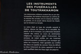 LES INSTRUMENTS DES FUNÉRAILLES DE TOUTÂNKHAMON.
Les cérémonies militaires avaient lieu au son des trompettes, les fanfares résonnant au rythme de la marche des armées vers le champ de bataille, et parfois, on en jouait même durant les rituels qui se tenaient au temple.
Le sistre était un type de crécelle associé à Hathor, déesse de l'amour, de la sexualité, du plaisir et de la musique. Les prêtresses faisaient retentir des sistres au cours de cérémonies religieuses. Lorsqu'on agitait l'instrument, les anneaux de métal enfilés sur ses traverses s'entrechoquaient, produisant une musique qui, selon les croyances, était agréable aux oreilles des dieux et capable de ranimer l'âme du défunt. Le doux tintement du sistre rappelait le son du vent soufflant dans les fines tiges de papyrus.