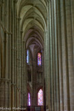 <center>Le  collatéral intérieur. </center>
