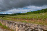 <center>Le vignoble du clos de Vougeot</center>