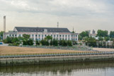 <center>Ile de Nantes. </center> Jadis prairies exploitées pouf l'élevage bovin, naguère terreau industriel des savonneries, des chantiers naval et du commerce maritime cette terre vit désormais une nouvelle destinée. Une équipe de constructeurs de machines a installé son atelier sous les Nefs des anciens chantiers navals. Leur imaginaire explore la cime des arbres, la savane ou les fonds sous-marins, ils construisent un bestiaire de machines vivantes qui s'échappent de l'atelier pour peupler ce territoire en pleine mutation.
