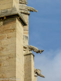 <center>Cathédrale Saint-Just-et-Saint-Pasteur</center>