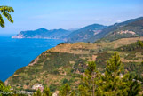 <center>Romaggiore.</center>