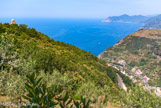 <center>Romaggiore.</center>