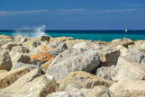 <center>Les plages du Prado.</center>