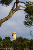 <center>Le Roucas Blanc.</center><center>Le Roucas Blanc.</center>La tour Michel est un ancien belvédère de la propriété Guiaud ou La Malespine, utilisé comme tour de chasse du fait de sa position sur le trajet de migration des palombes.