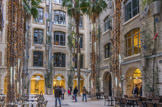 <center></center><center>Place des Palmiers.</center>